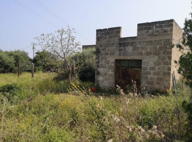 Immagine 2024-10-09 124948