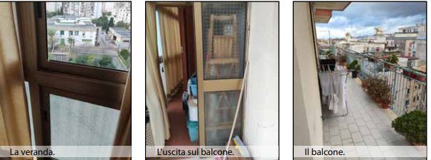 Immagine 2024-10-09 131243
