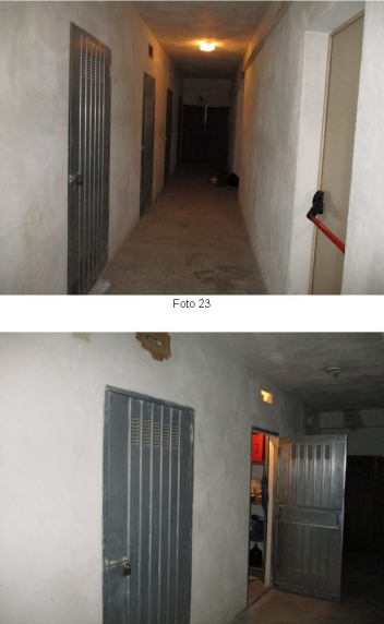 Immagine 2024-10-25 123500