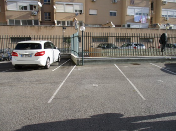 Immagine 2024-10-25 123512