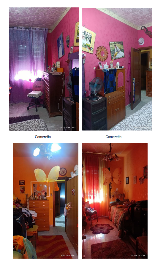 Immagine 2024-11-20 125242
