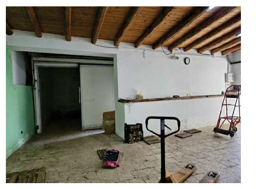 Immagine 2024-11-22 113404