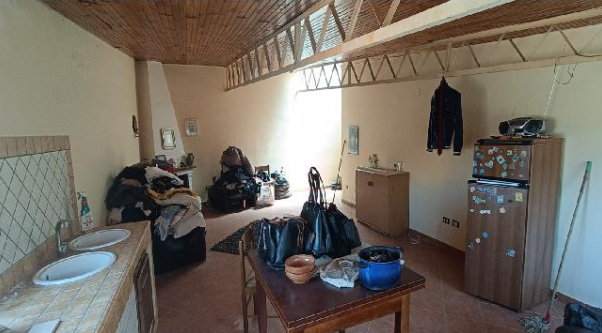 Immagine 2024-10-11 122346