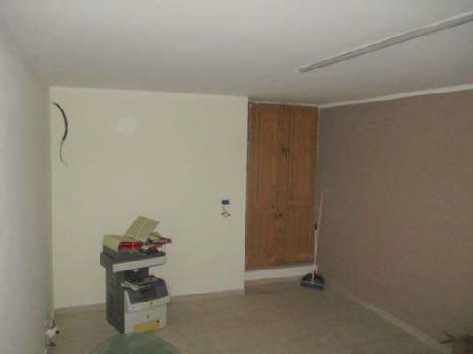 Immagine 2025-02-13 093021