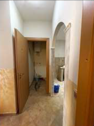 Immagine 2025-03-11 124731
