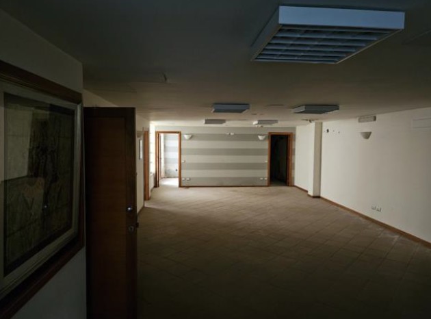 Immagine 2025-04-10 104657